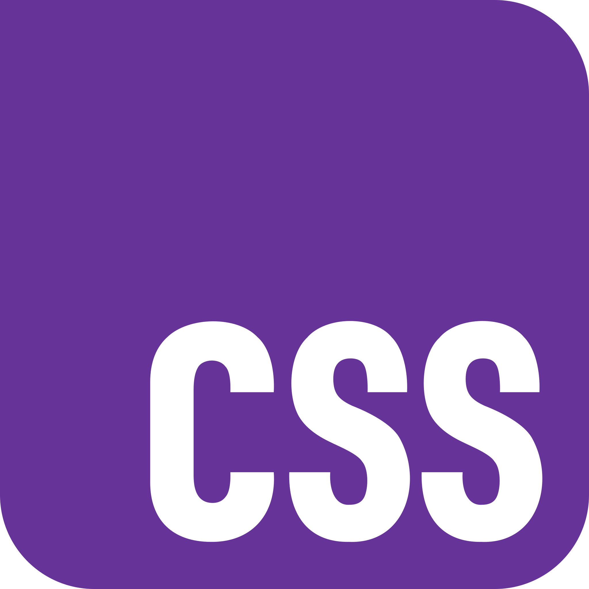 CSS logo
